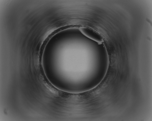 X0000095690880200801081246