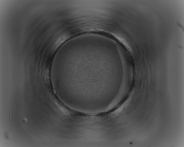 X0000095690881200801081246