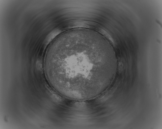 X0000095690882200801081246