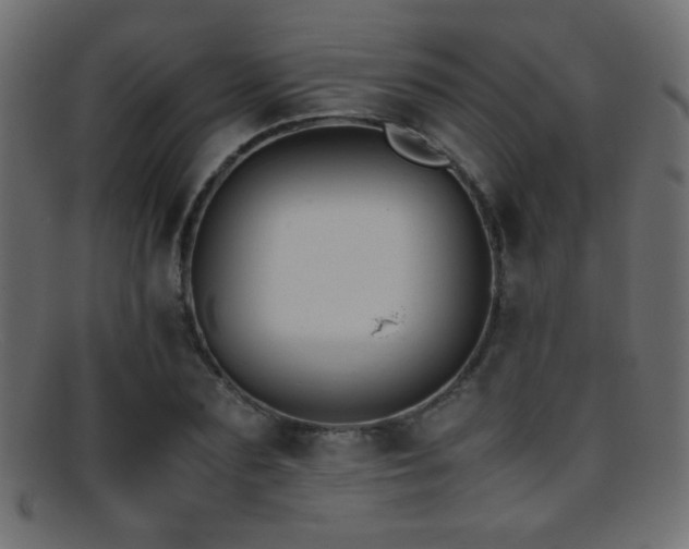 X0000095690883200801081246