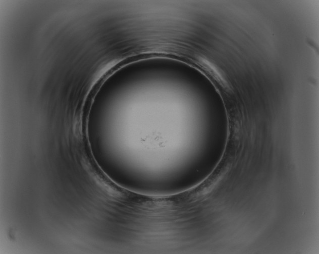 X0000095690884200801081246