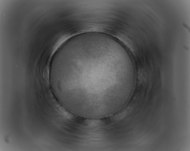 X0000095690886200801081246