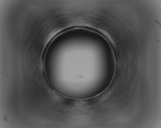 X0000095690887200801081246