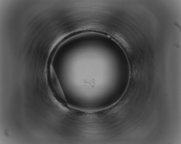 X0000095690888200801081246
