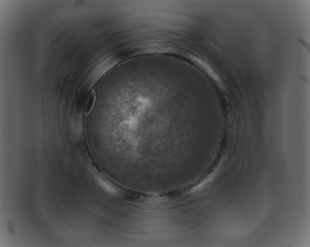 X0000095690889200801081246