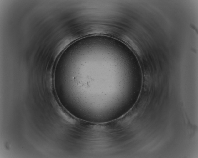 X0000095690890200801081246