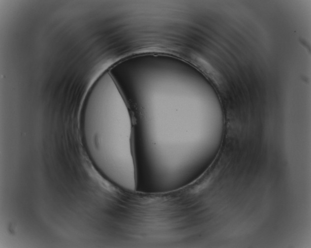 X0000095690892200801081246