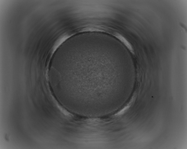 X0000095690893200801081246