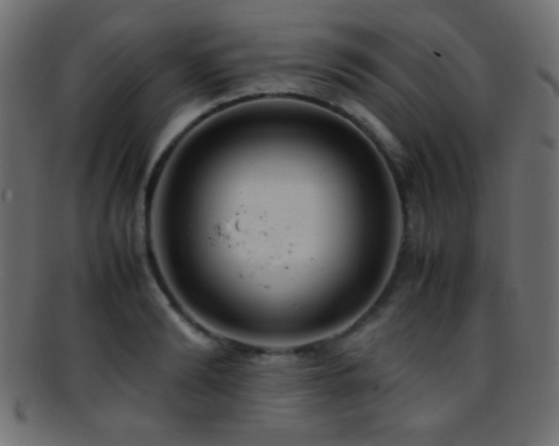 X0000095690894200801081246