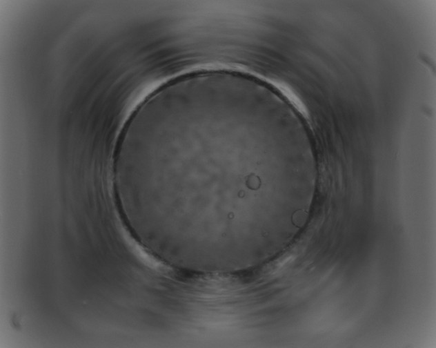 X0000095690895200801081246