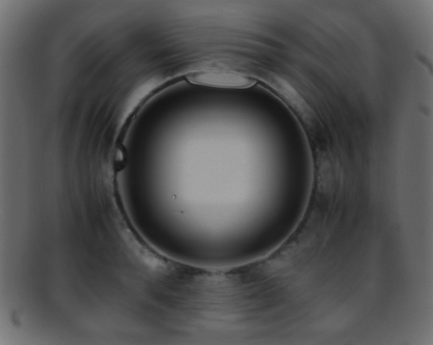X0000095690896200801081246