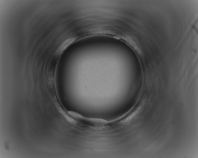 X0000095690897200801081246