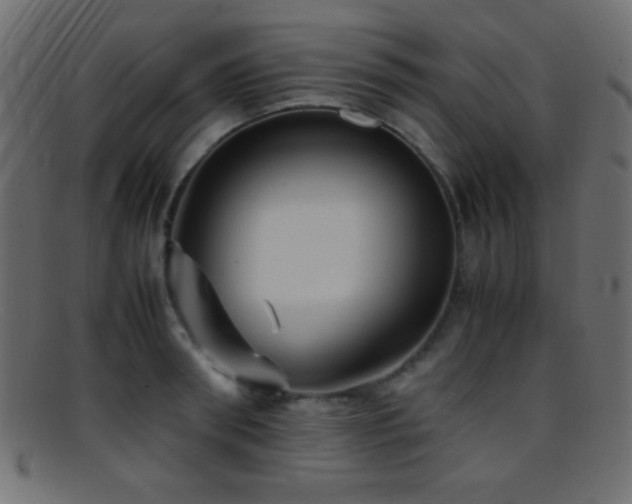 X0000095690898200801081245