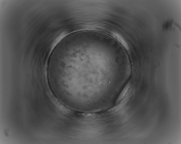 X0000095690899200801081245
