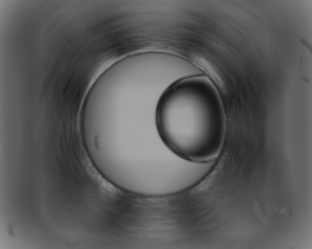 X0000095690900200801081245