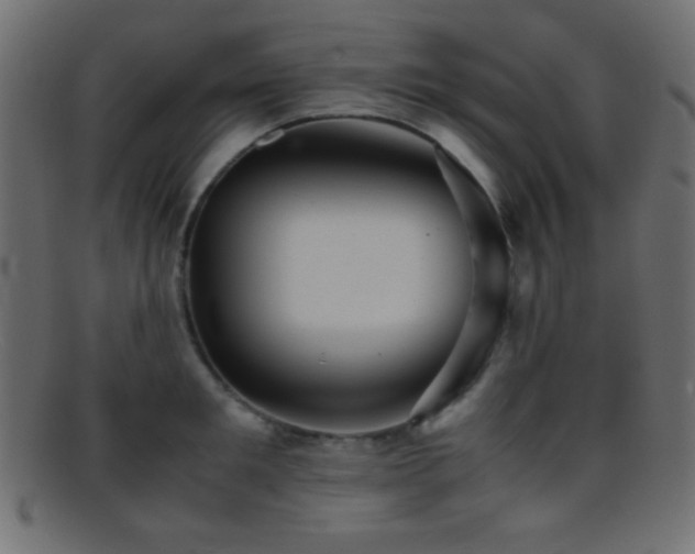 X0000095690901200801081245