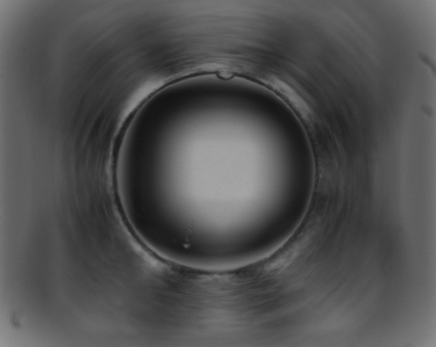 X0000095690902200801081245