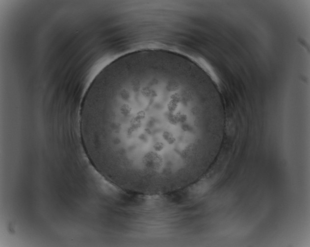 X0000095690903200801081245