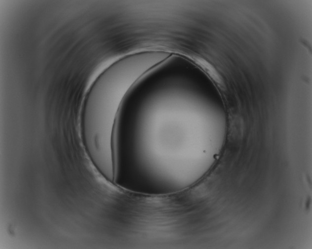 X0000095690904200801081245