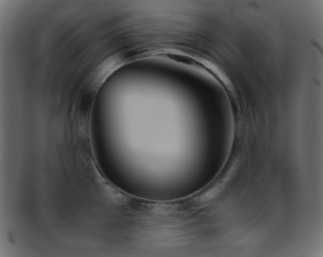 X0000095690905200801081245