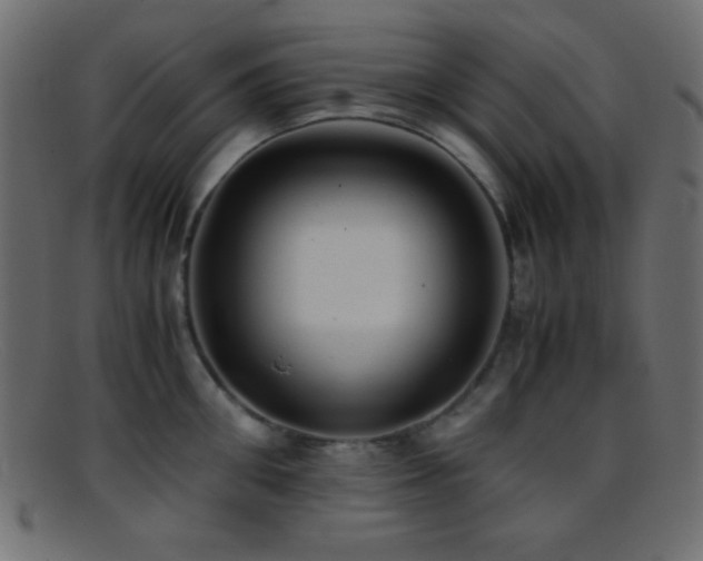 X0000095690906200801081245