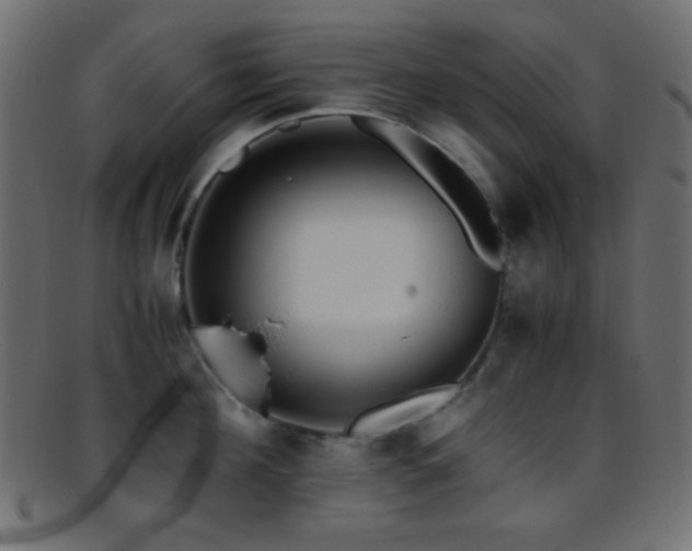 X0000095690908200801081245