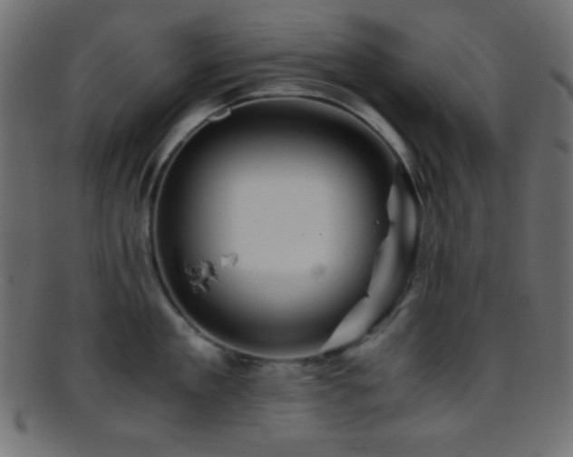 X0000095690909200801081245