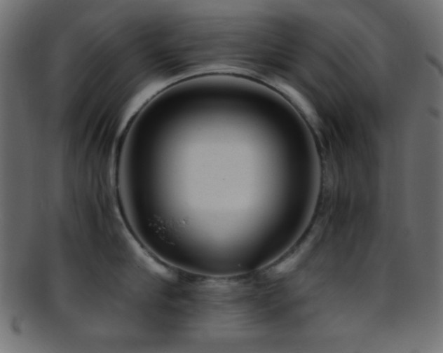 X0000095690910200801081245