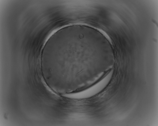 X0000095690911200801081245