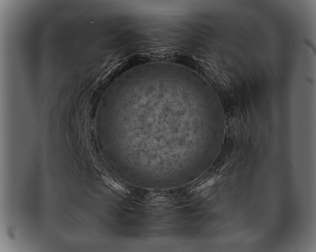 X0000095690913200801081245