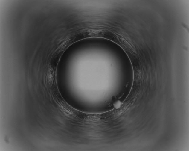 X0000095690914200801081245