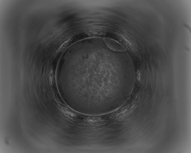 X0000095690915200801081245