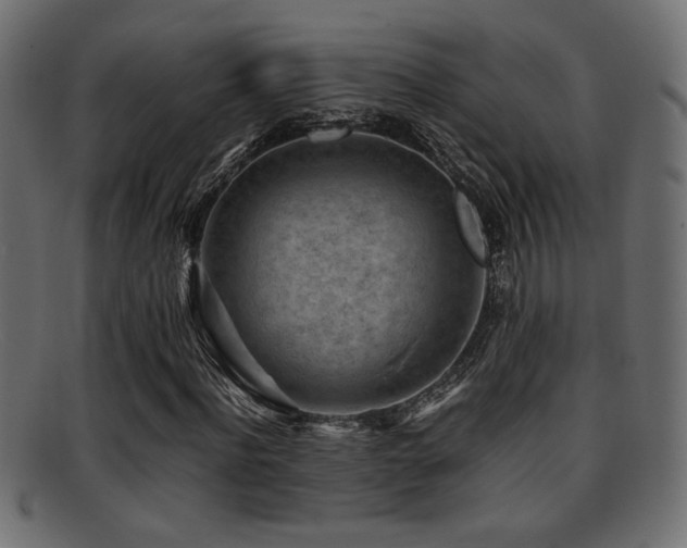 X0000095690916200801081245
