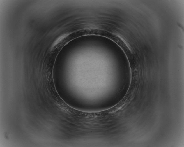 X0000095690919200801081245