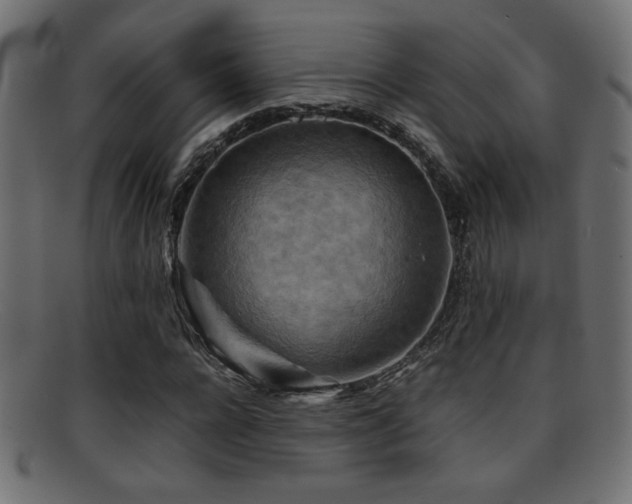 X0000095690920200801081245