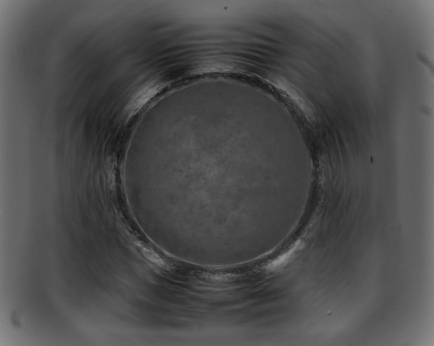 X0000095690921200801081245