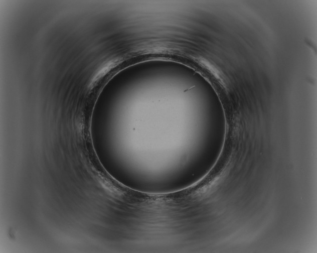 X0000095690922200801081245