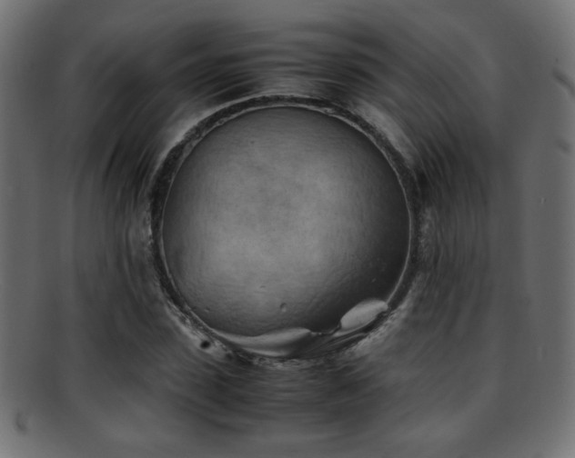 X0000095690923200801081245