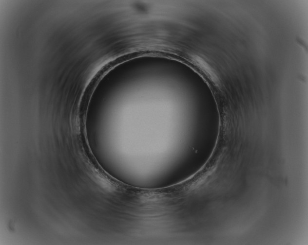 X0000095690924200801081245