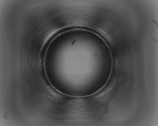 X0000095690926200801081245
