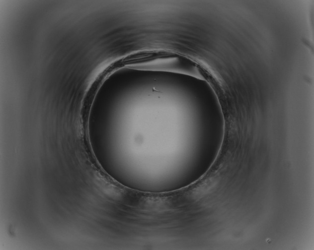 X0000095690927200801081245