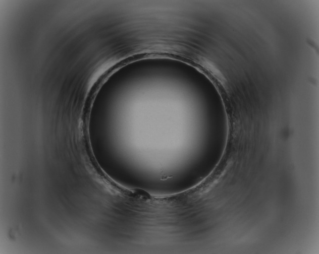 X0000095690928200801081245
