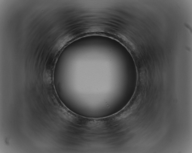 X0000095690929200801081245