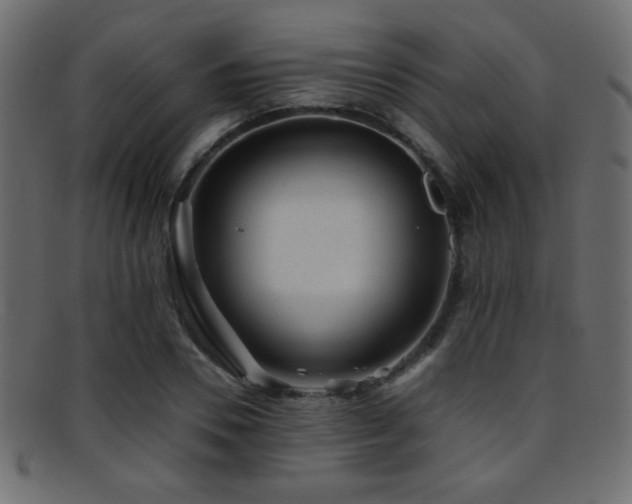 X0000095690930200801081245
