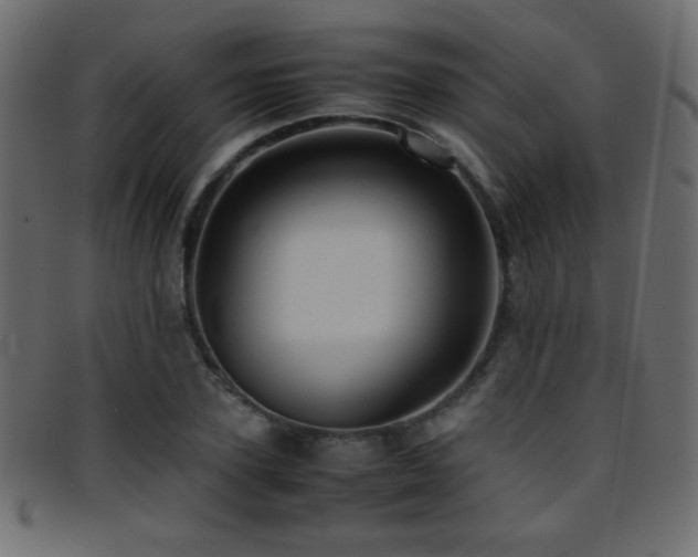 X0000095690931200801081245