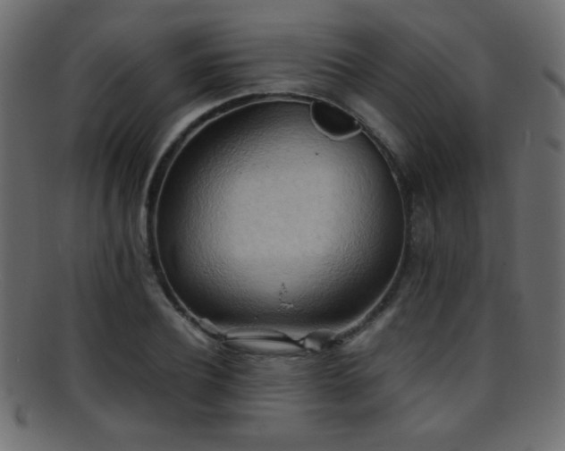 X0000095690932200801081245
