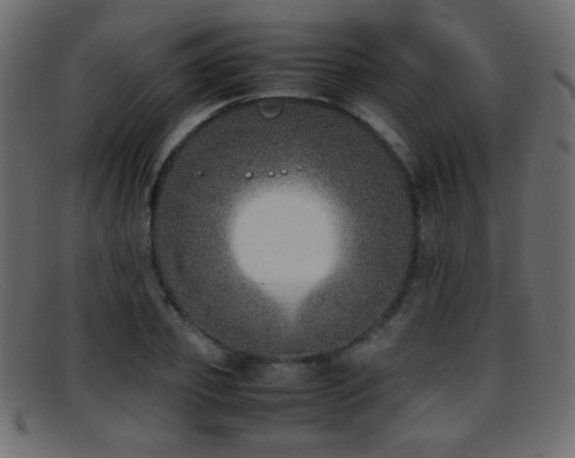 X0000095690933200801081245