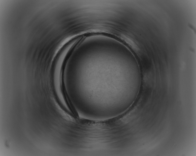 X0000095690934200801081245
