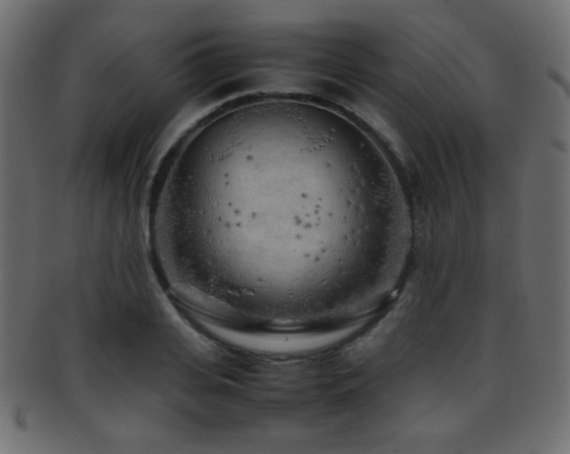 X0000095690935200801081245