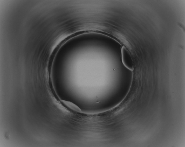 X0000095690936200801081245